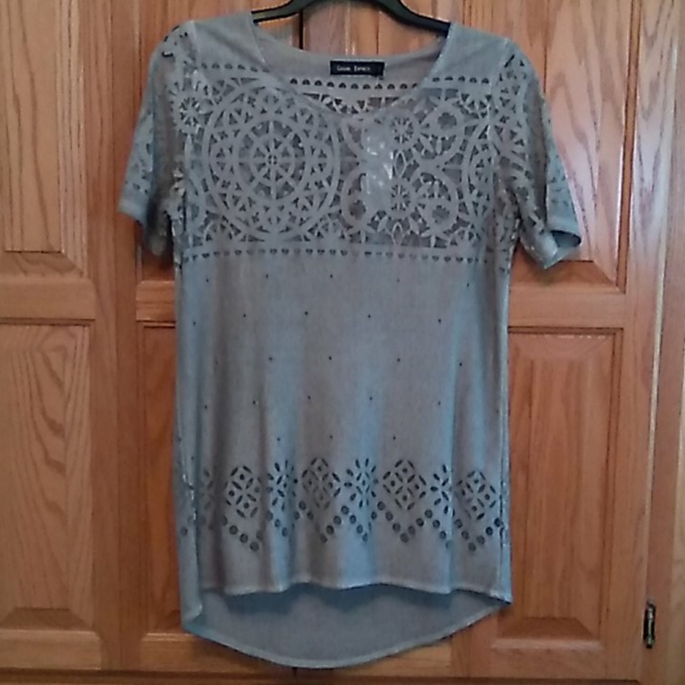 Nwt beautiful grey semi sheer tunic